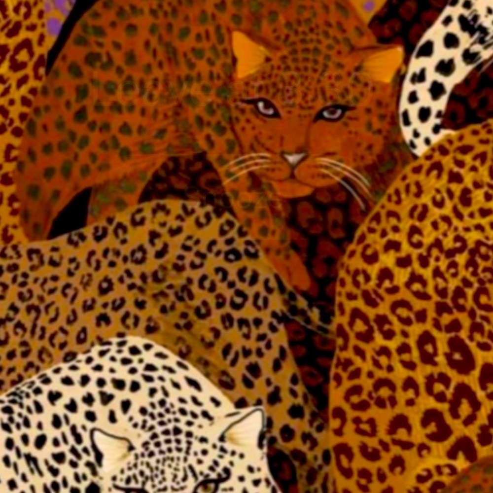 Meet your Posher, Shante